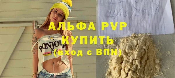 индика Абаза