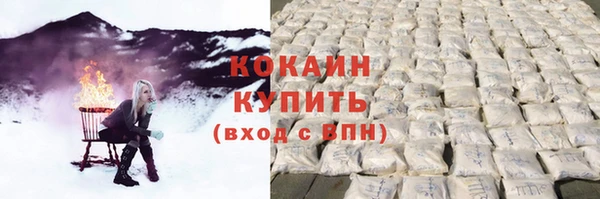 индика Абаза