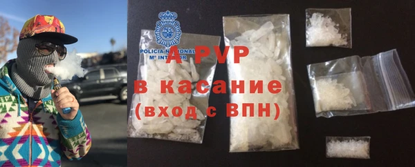 индика Абаза