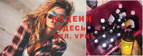 индика Абаза